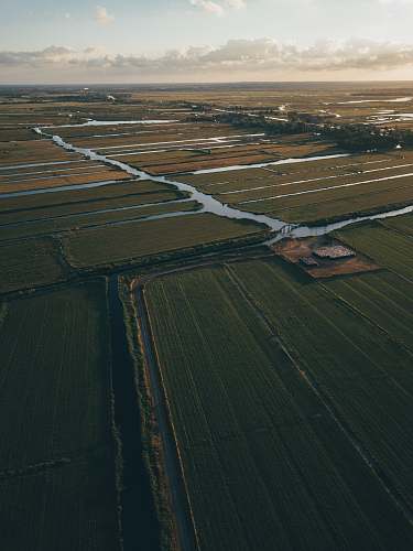 aerial view aerial photography of green grass field scenery